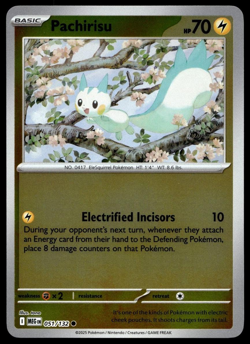 Pachirisu 2025 Pokemon Mega Evolution