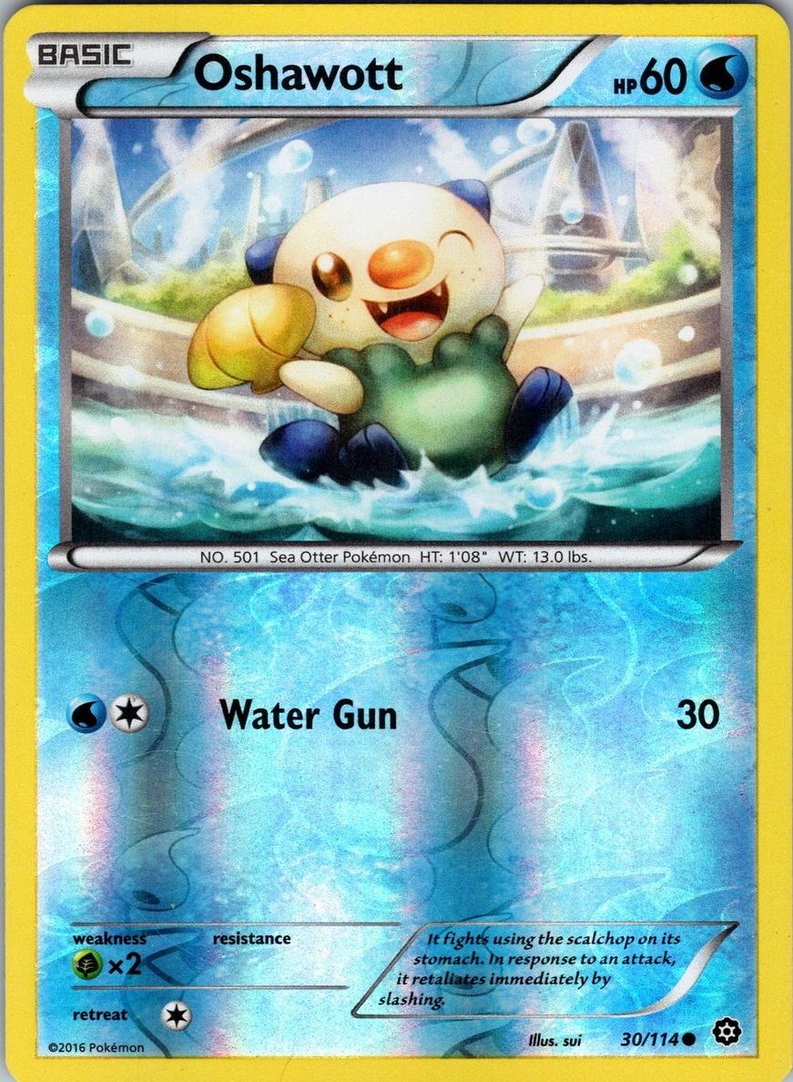 Oshawott 2016 Pokemon XY Steam Siege