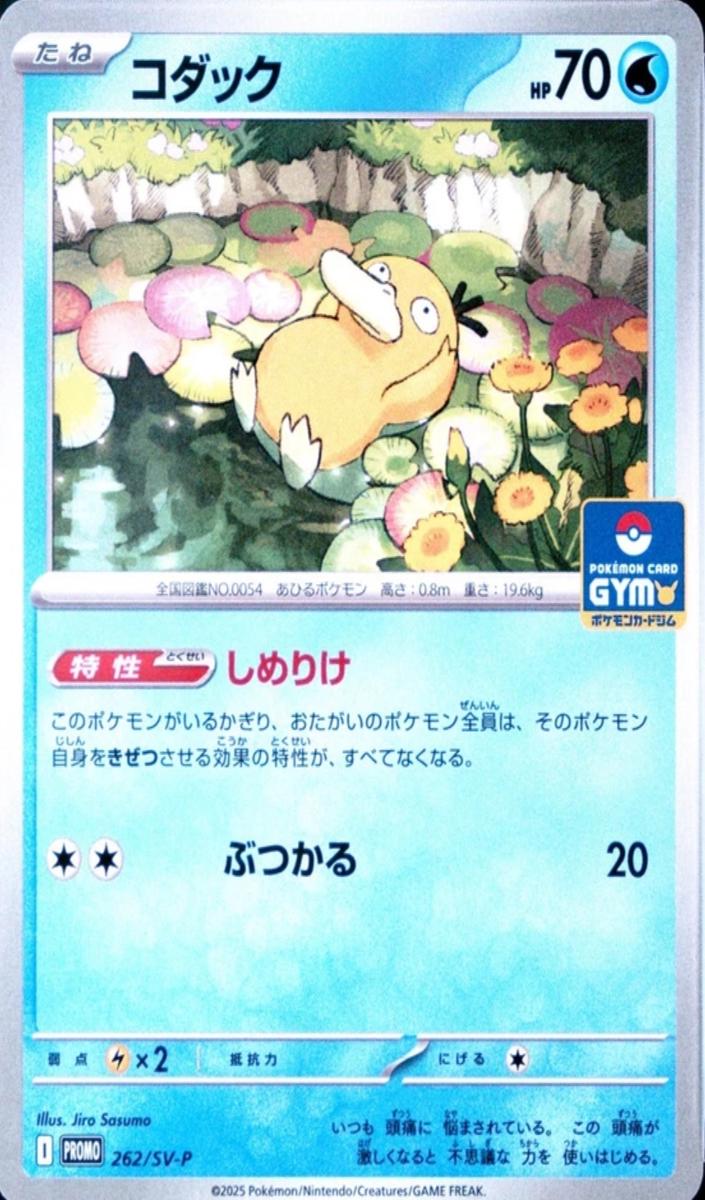 2025 Pokemon GYM PROMO PACK 10 #262 Psyduck front