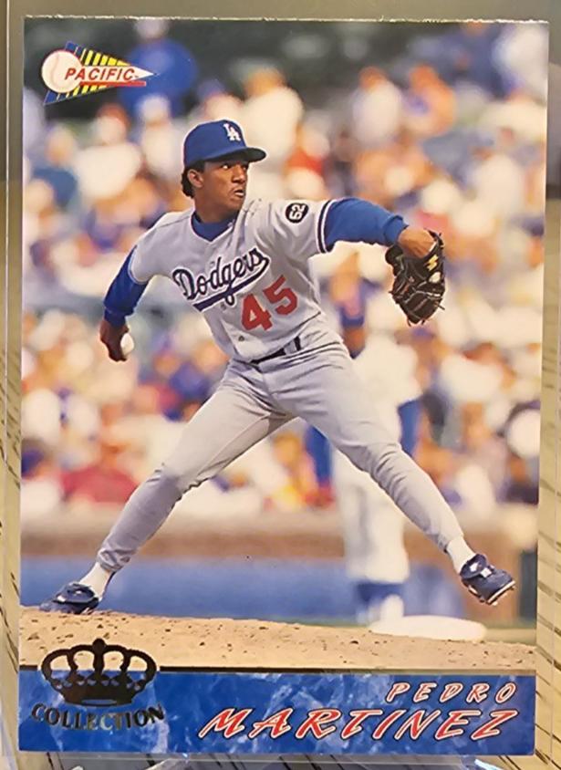 1994 Pedro Martinez #313