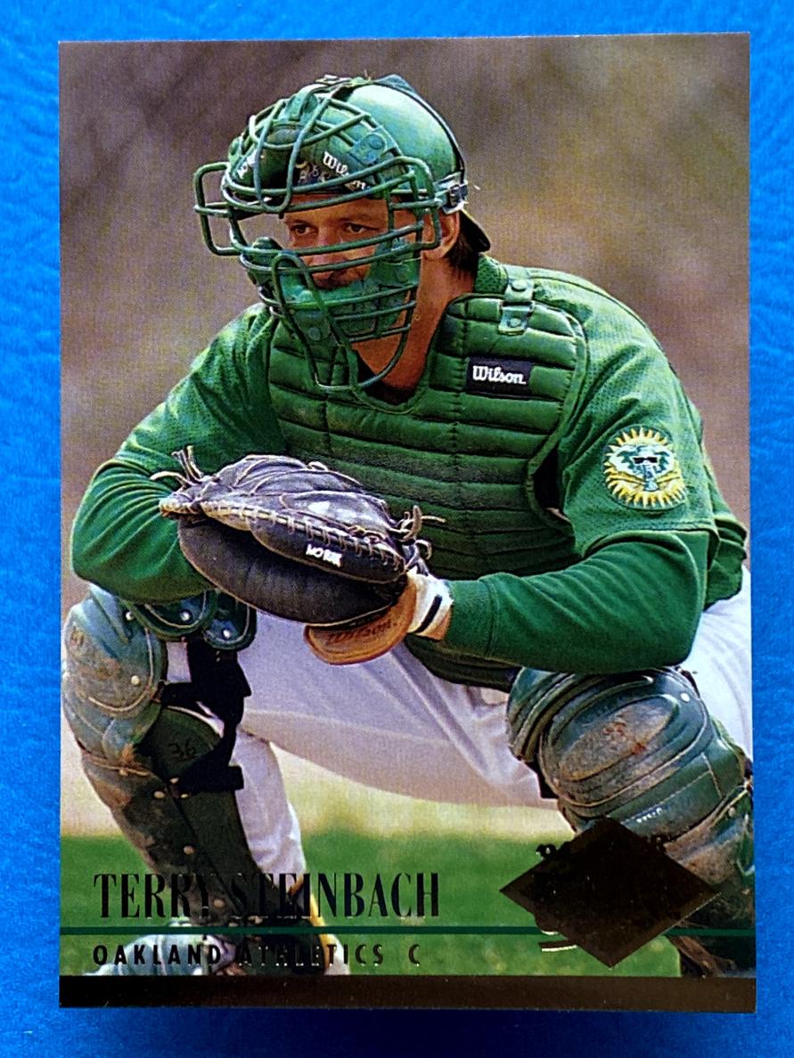 1994 Terry Steinbach #412