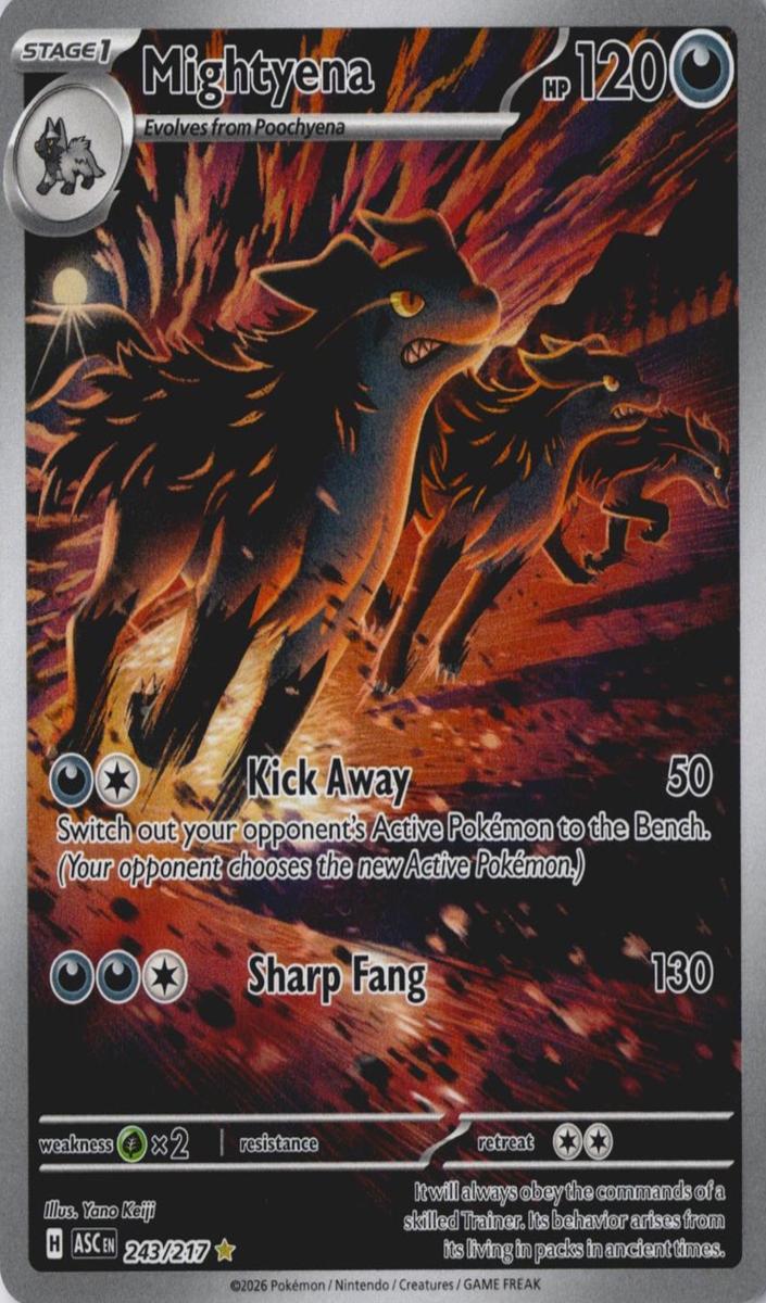 2026 Pokemon Illustration Rare #243 Asc front