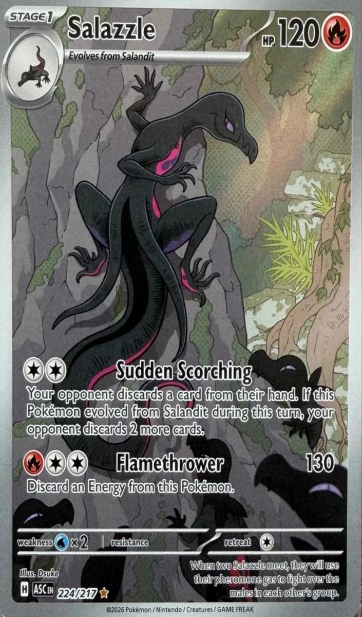 Salazzle 2026 Pokemon Mega Evolution Ascended Heroes