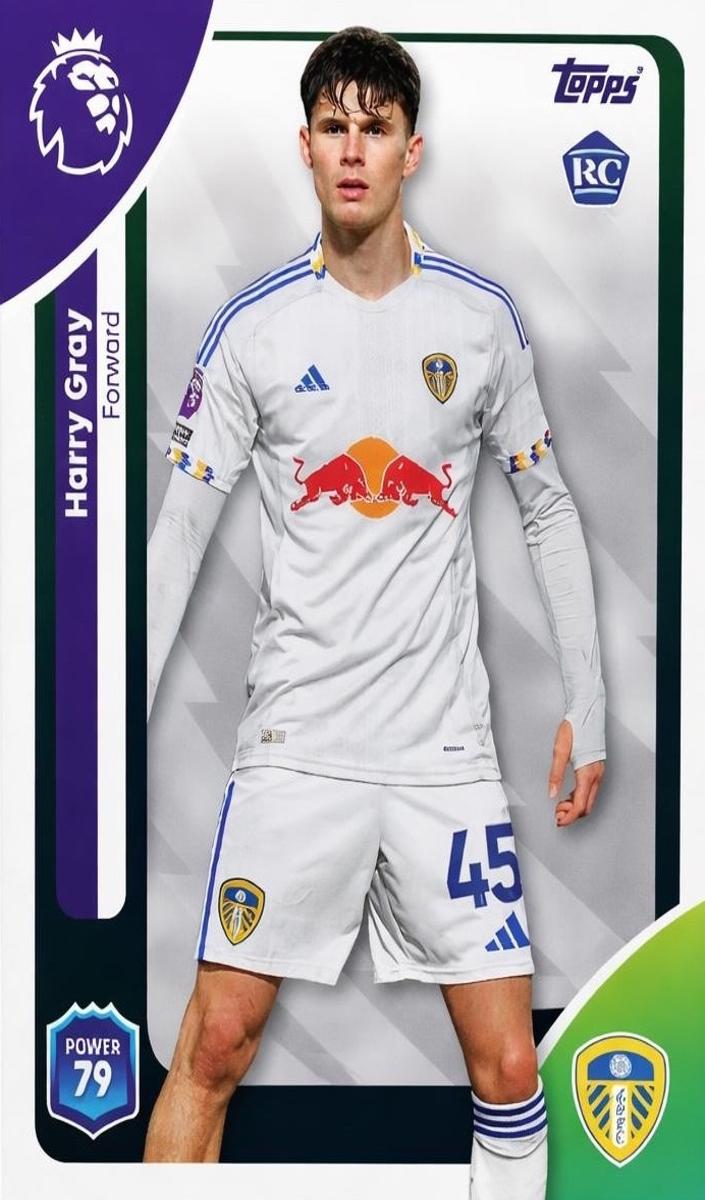 2025 Harry Gray #334