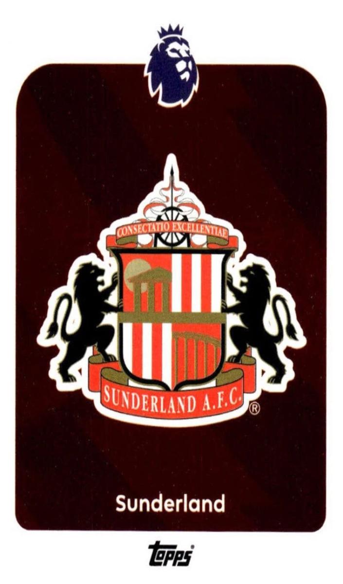 2025 Team Badge #343