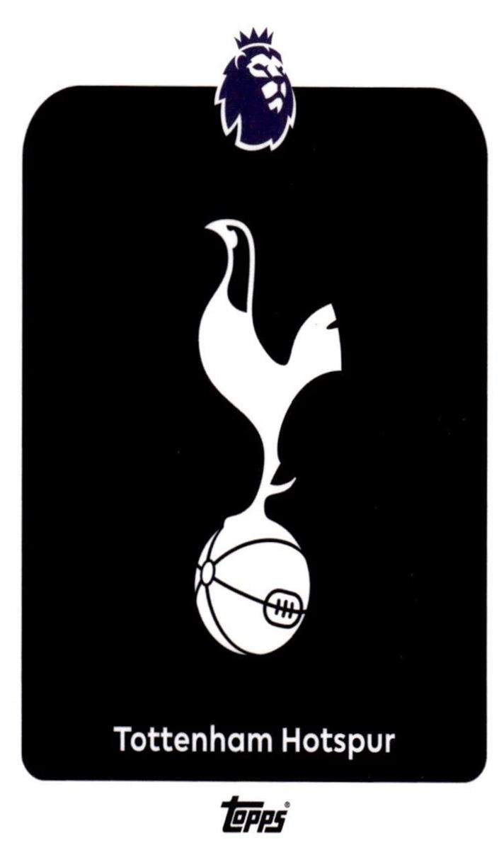2025 Team Badge #253