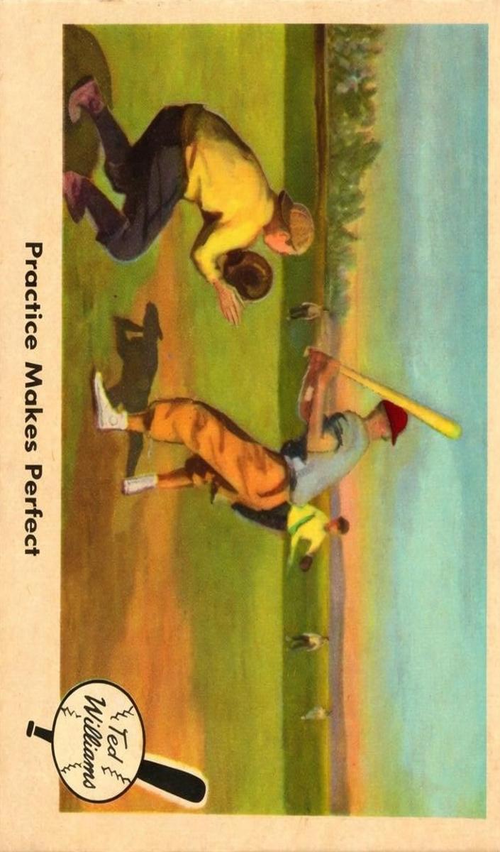 1959 Ted Williams [Practice Makes Perfect] #3