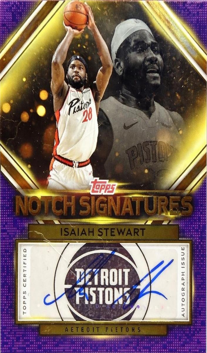 Isaiah Stewart 2025 Topps Basketball card