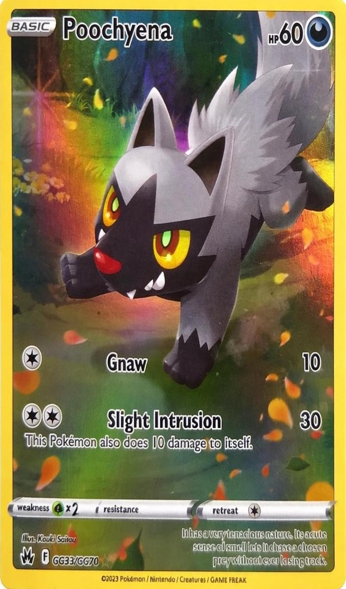 2023 Pokemon Crown Zenith Holo #GG33 Poochyena front