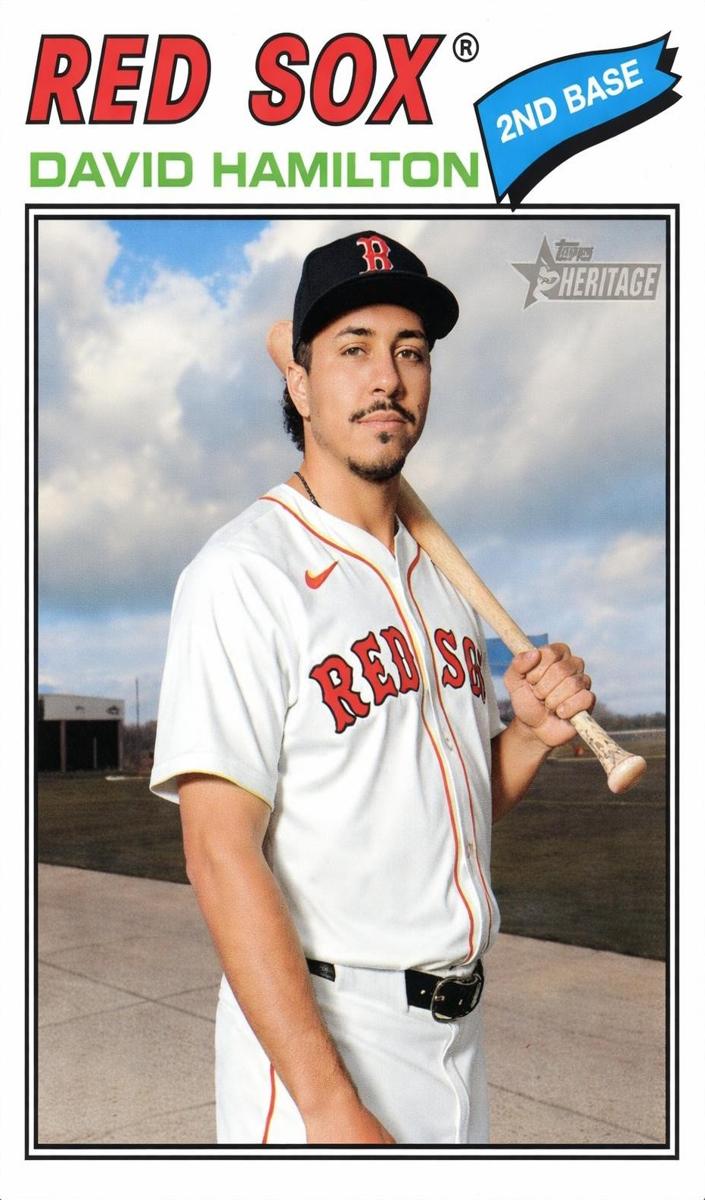 2026 David Hamilton #344