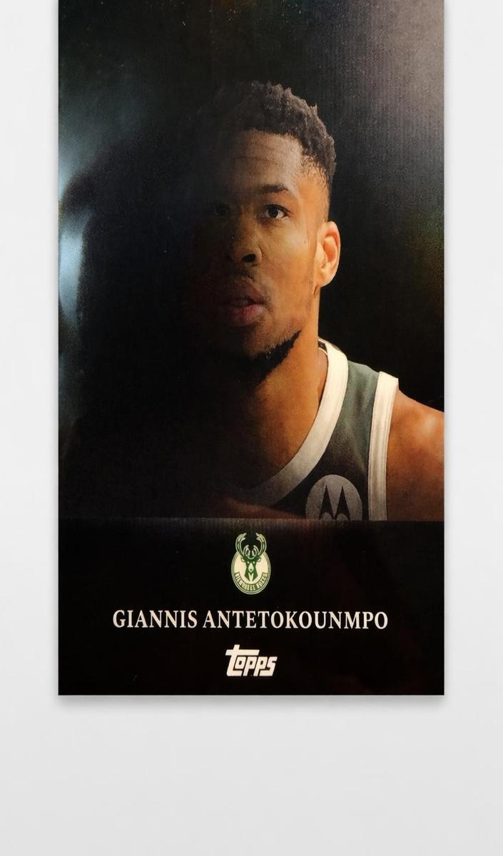 2025 Giannis Antetokounmpo #TL-10