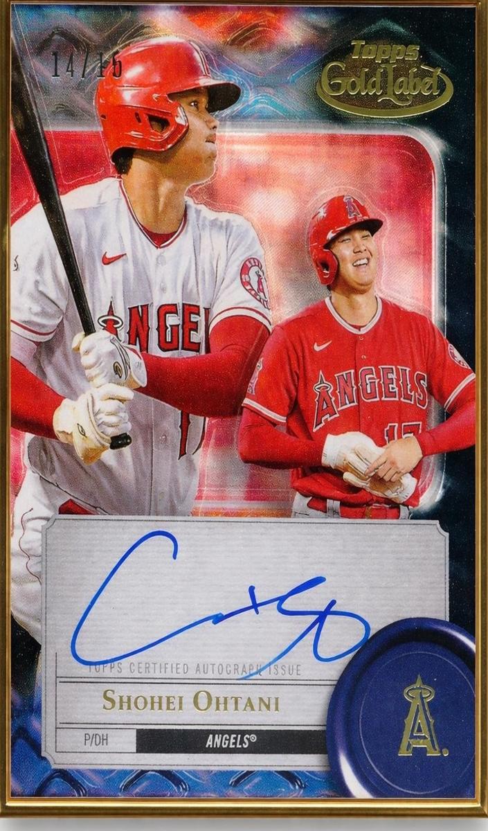 Shohei Ohtani