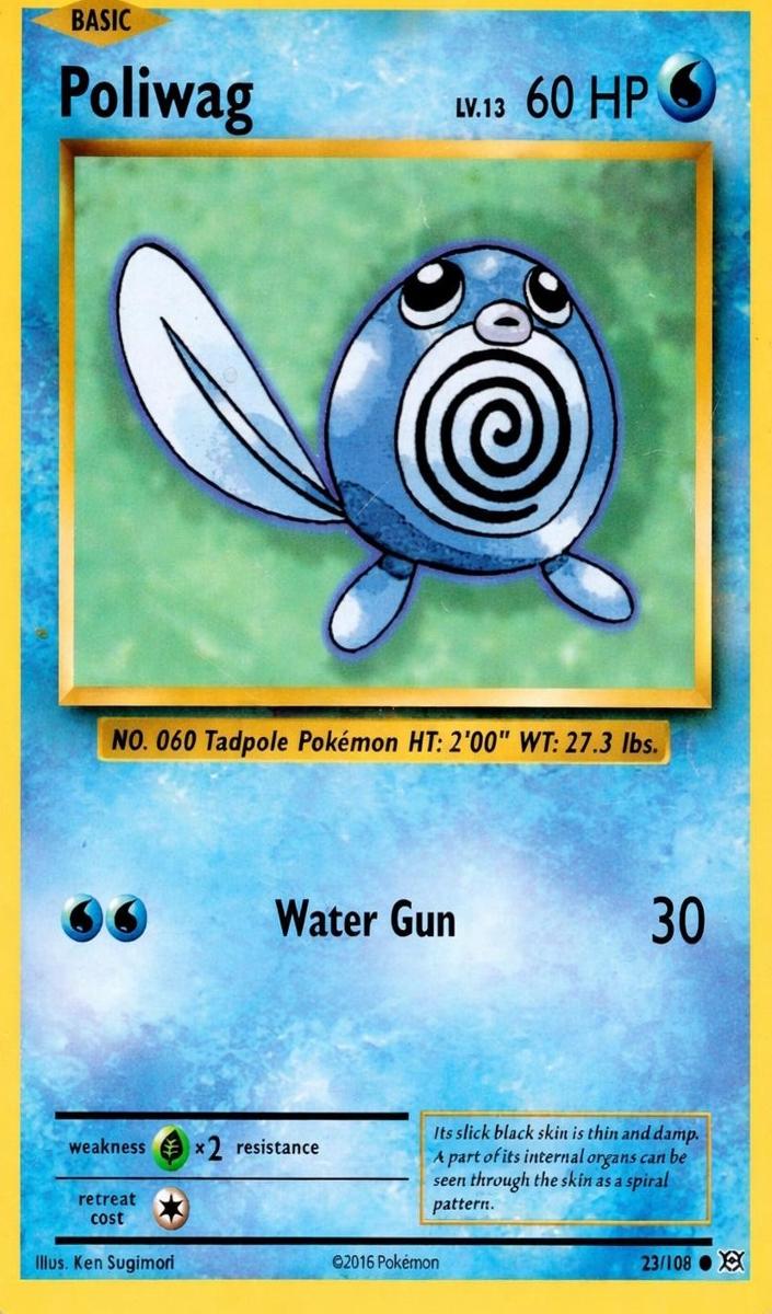 Poliwag 2016 Pokemon XY Evolutions