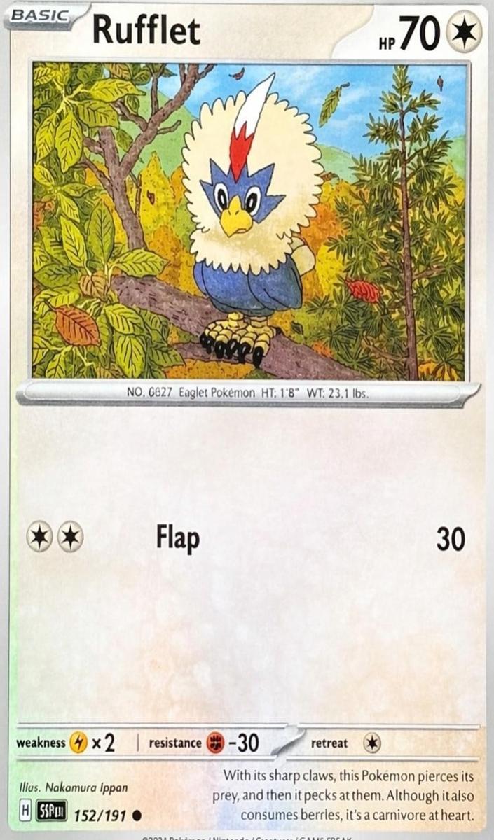 Rufflet 2024 Pokemon Scarlet & Violet Surging Sparks