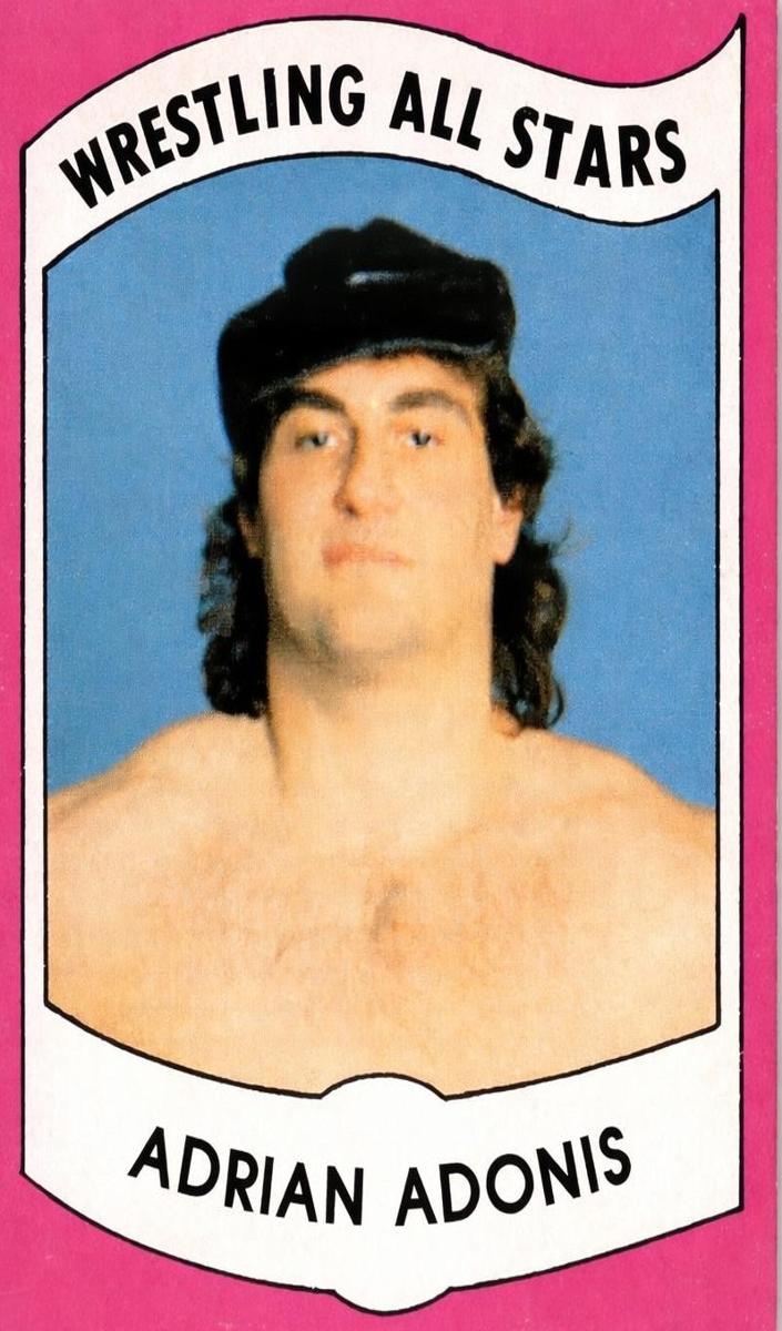 1982 Adrian Adonis #19