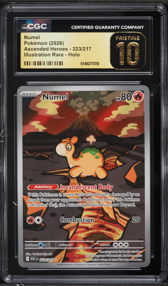 Numel 2026 Pokemon Mega Evolution Ascended Heroes