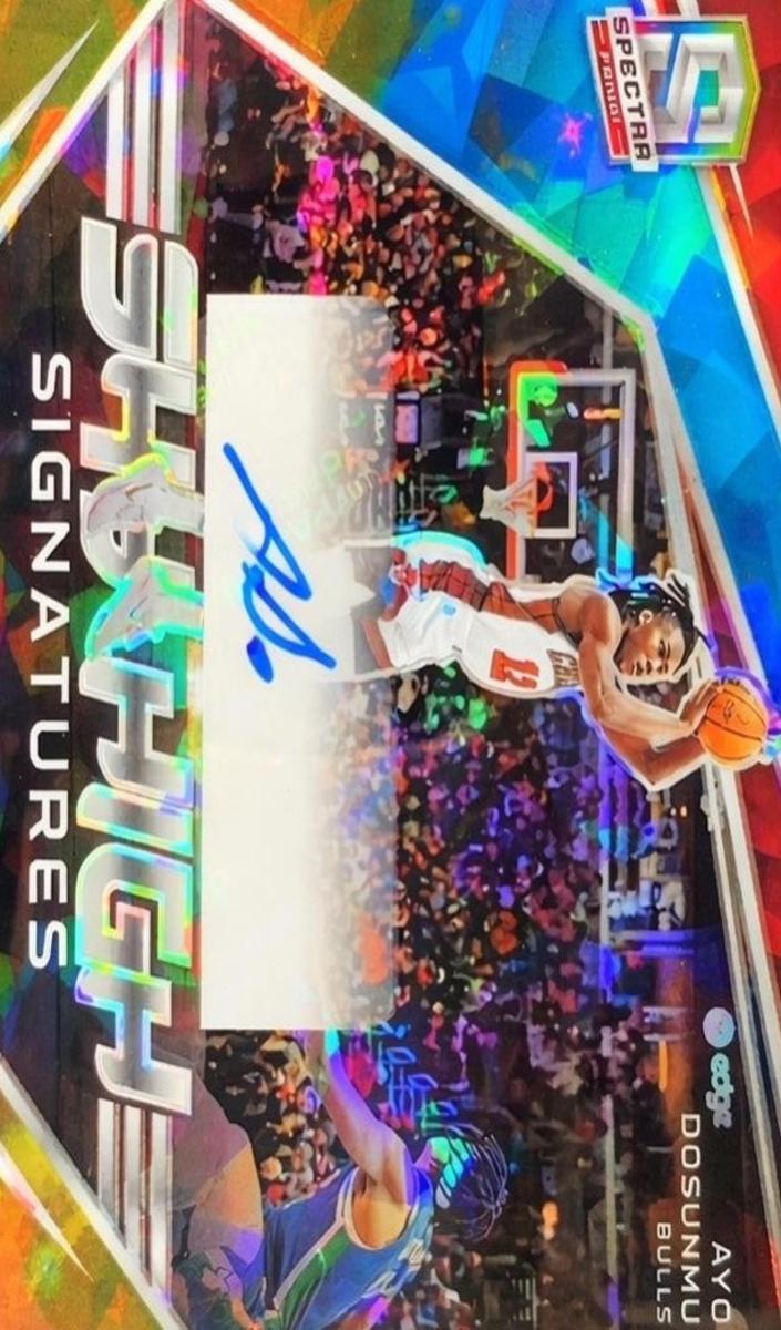 2022 Ayo Dosunmu #SKY-AYO