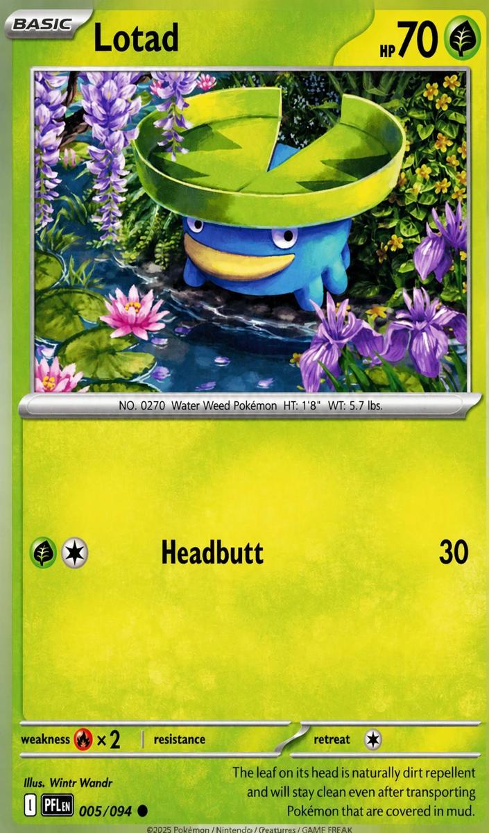 Lotad 2025 Pokemon Mega Evolution Phantasmal Flames