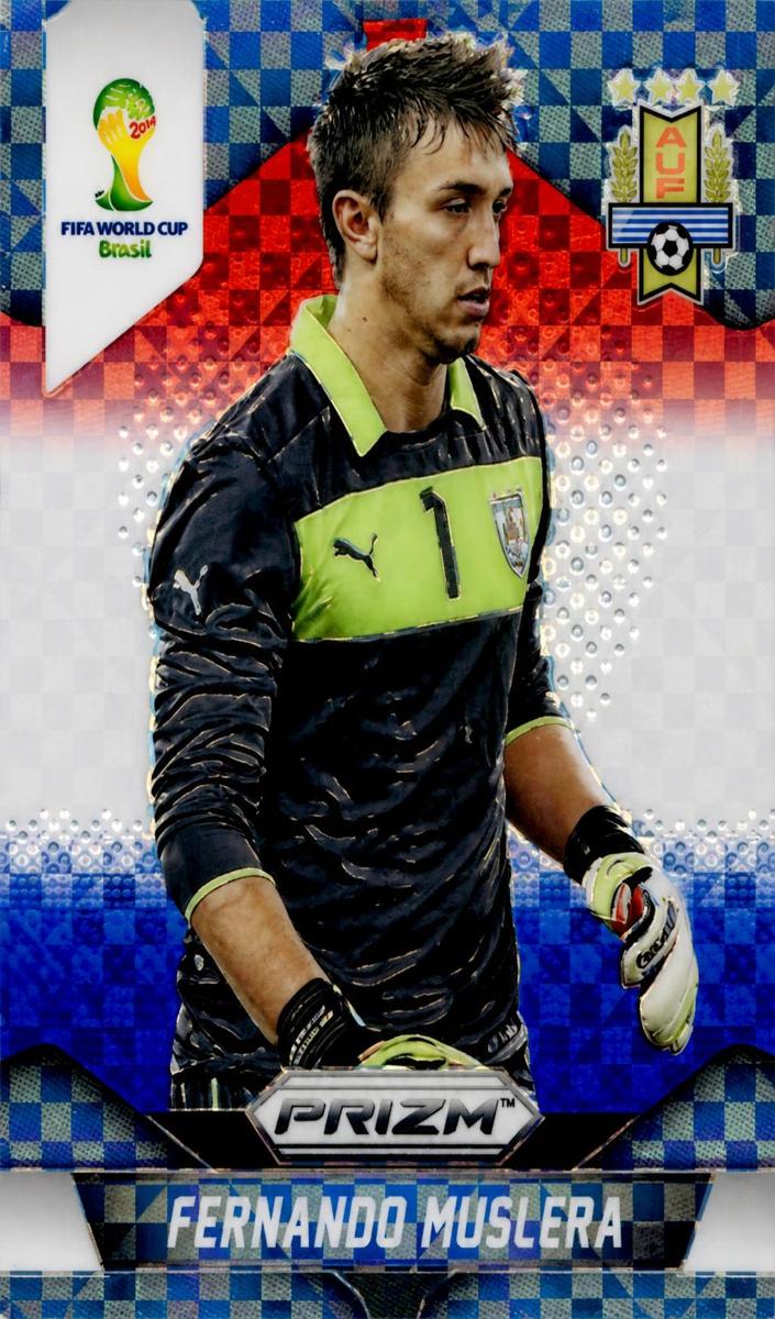 2014 Fernando Muslera [Red White and Blue Plaid] #189