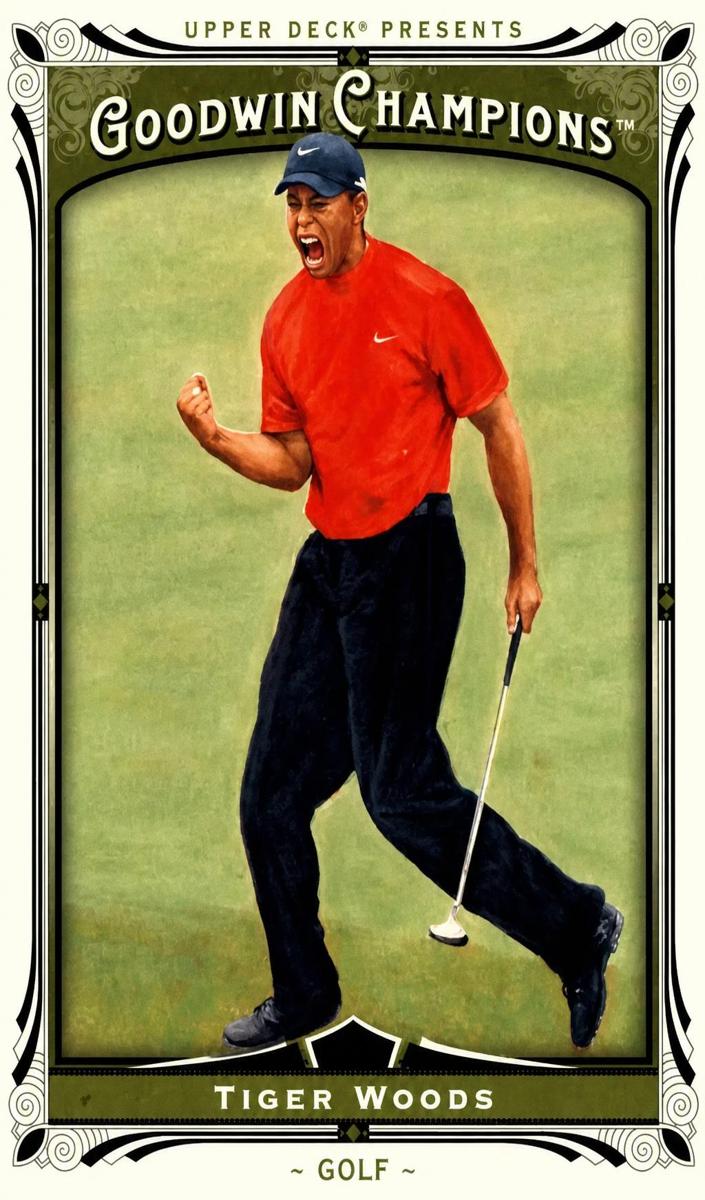 2013 Tiger Woods #143