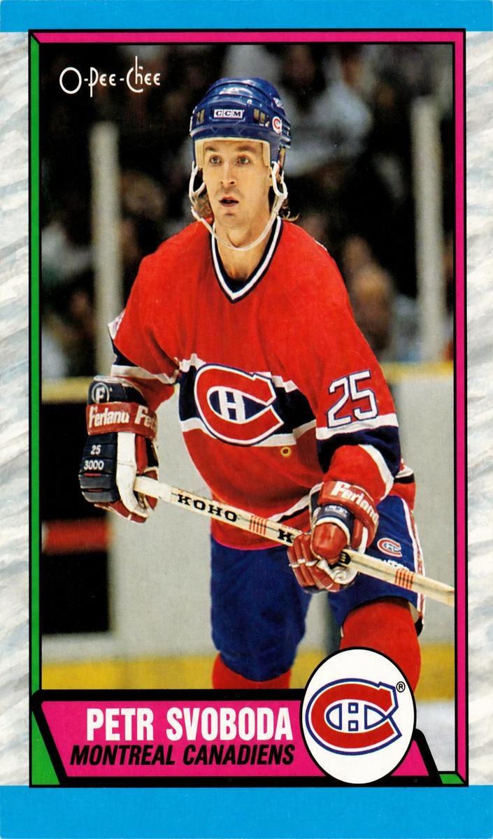 1989 O-Pee-Chee Petr Svoboda #238 card