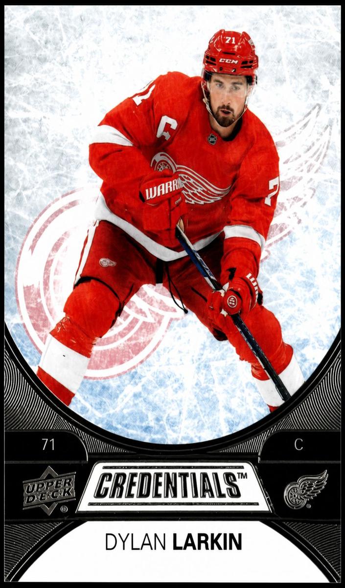 2021 Dylan Larkin #39