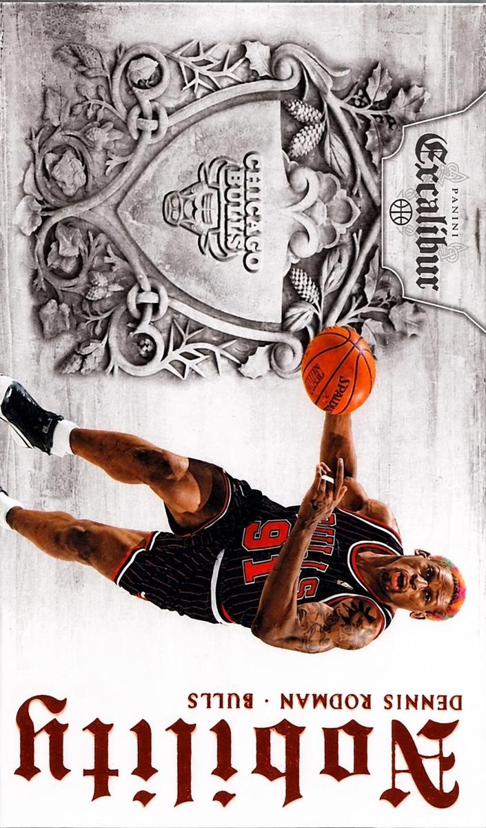 2014 Dennis Rodman #20