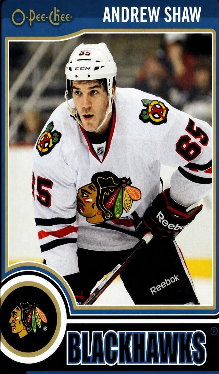2014 Andrew Shaw #134