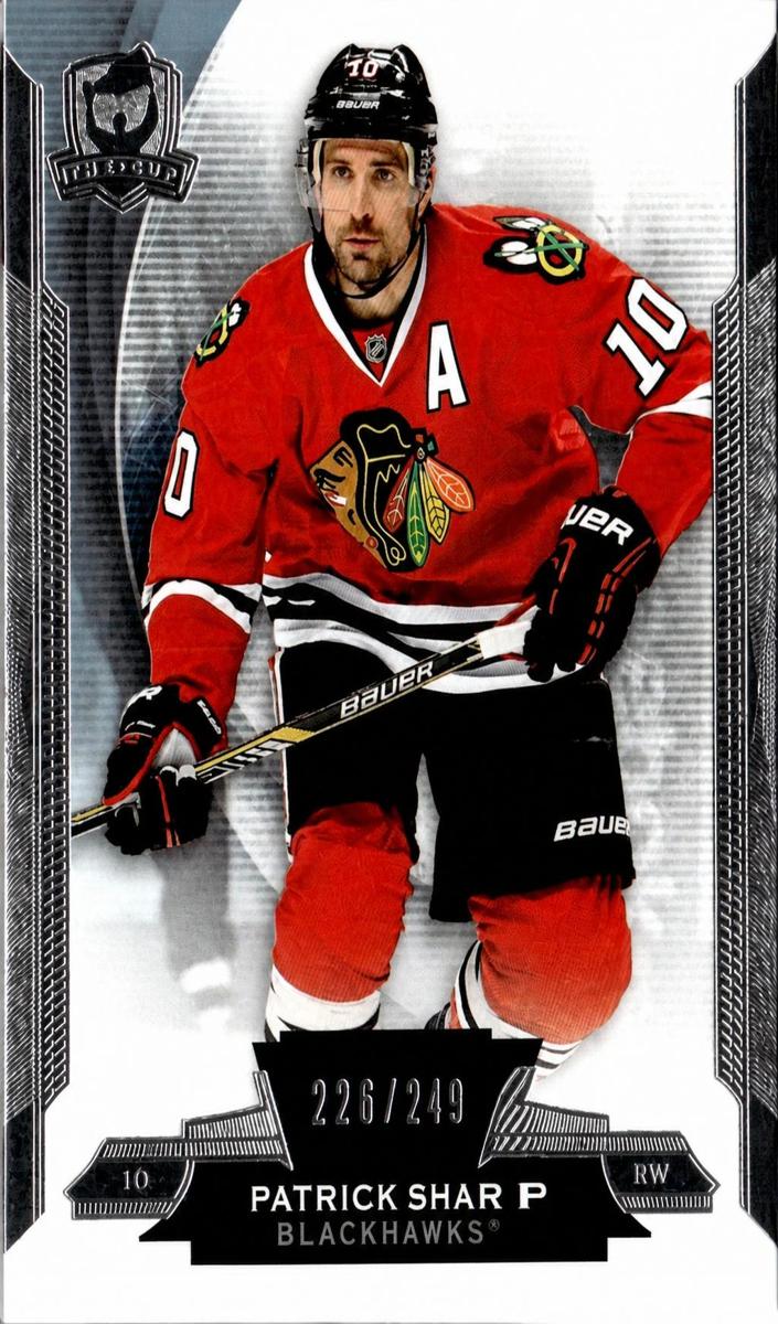 2014 Patrick Sharp #17