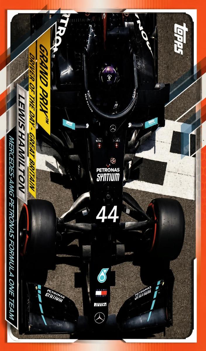 2021 Lewis Hamilton [Checker Flag] #166
