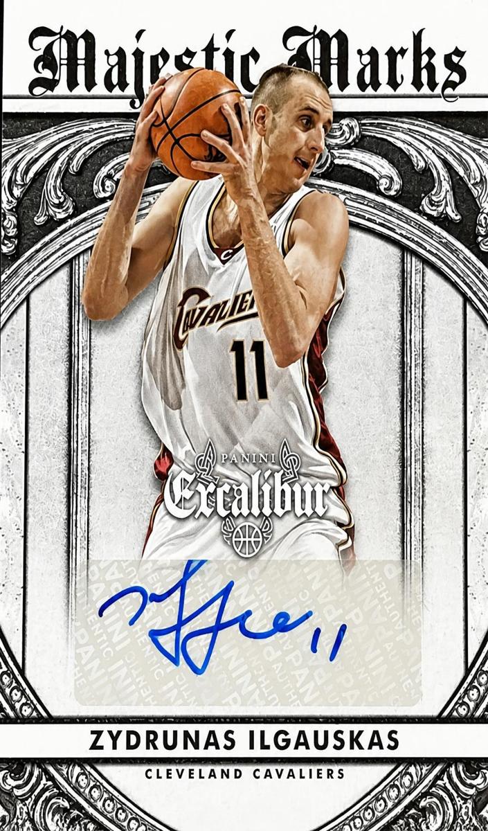 2014 Panini Excalibur Zydrunas Ilgauskas #34 card
