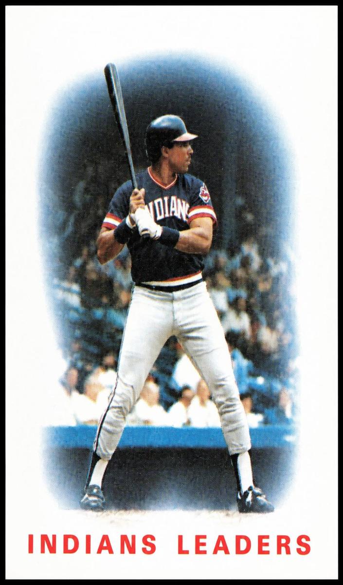 1986 Andre Thornton #336