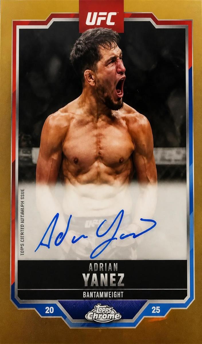 2025 Adrian Yanez [Gold Refractor] #CVA-AY