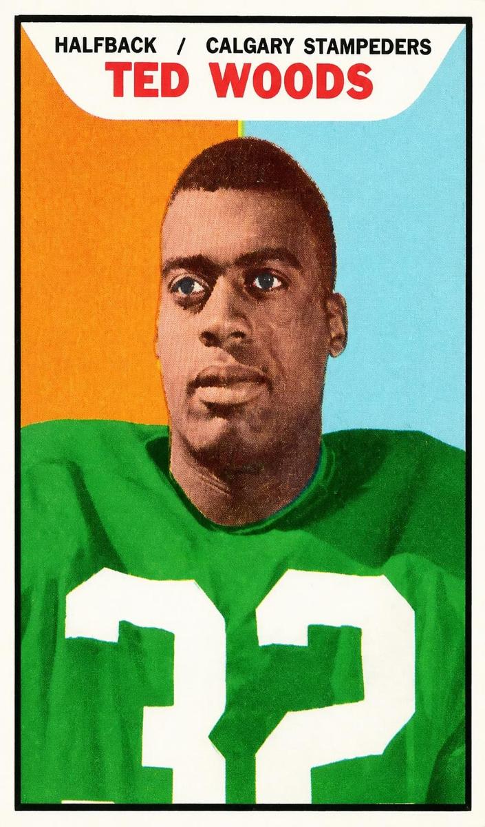 1965 Ted Woods #29