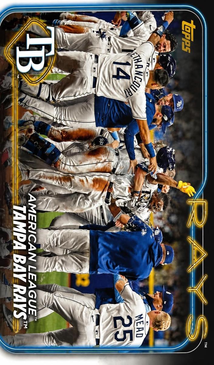 Tampa Bay Rays 2024 Topps Series 1 card
