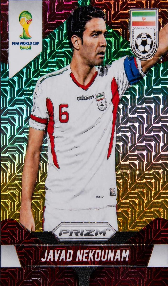 2014 Javad Nekounam [El Samba] #122