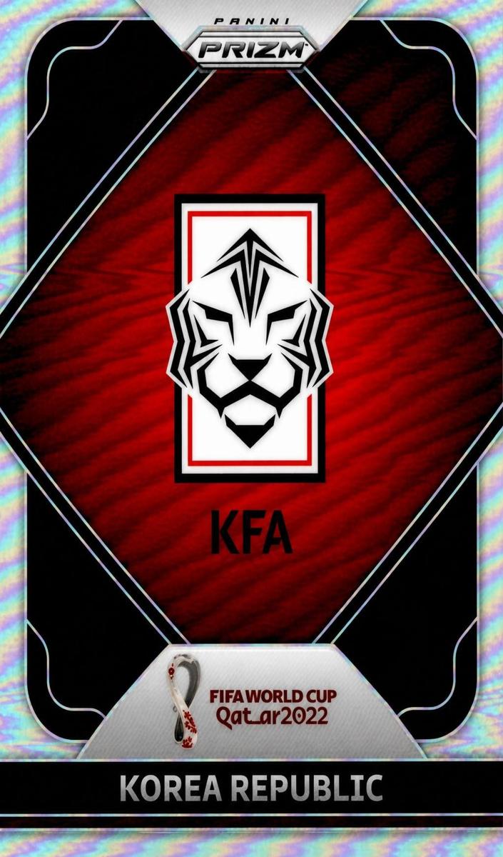2022 Korea Republic #15