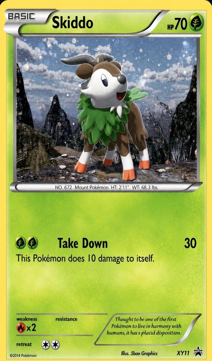 2014 Skiddo #XY11