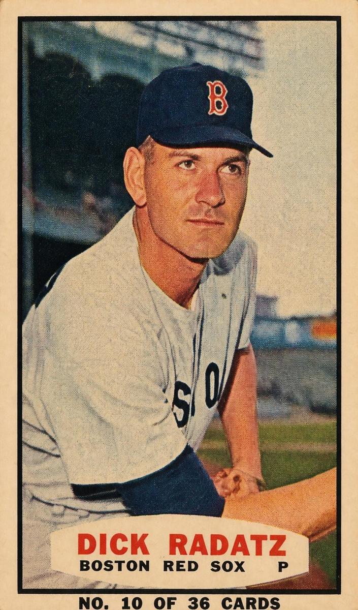 1965 Dick Radatz [Hand Cut] #10
