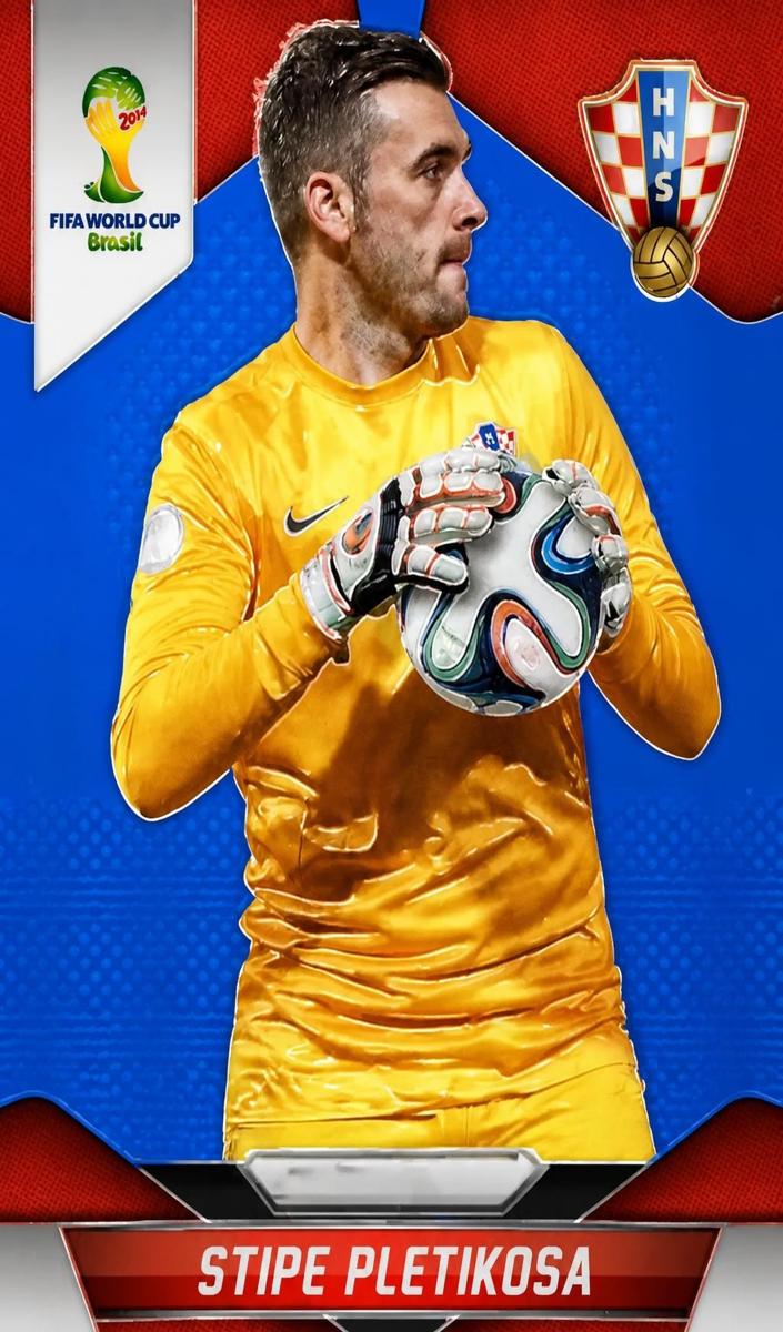 2014 Stipe Pletikosa [Blue] #116