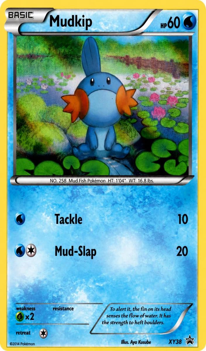 2014 Mudkip #XY38