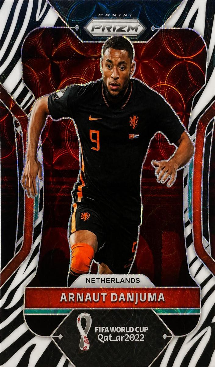 2022 Arnaut Danjuma [Choice Prizms Zebra] #152