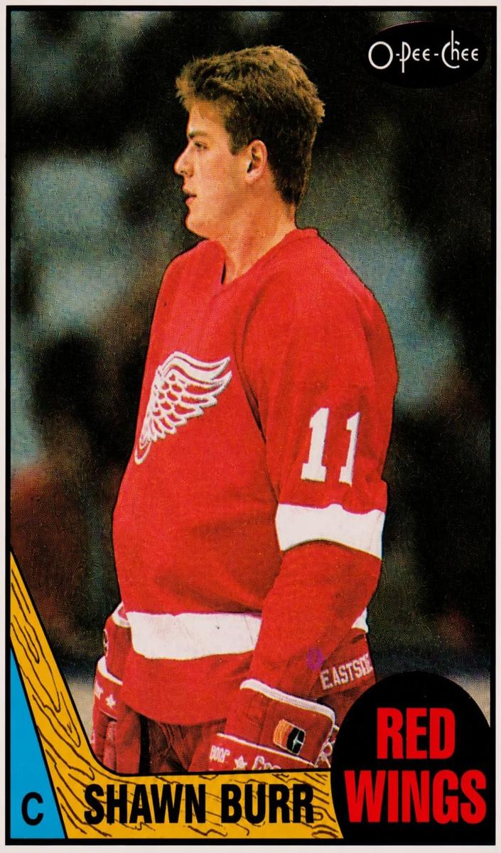 1987 O-Pee-Chee Shawn Burr #164 card