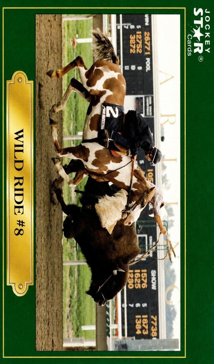 1991 Wild Ride #220