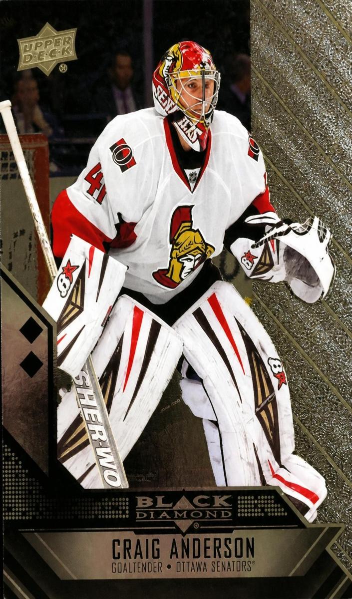 2014 Craig Anderson #147