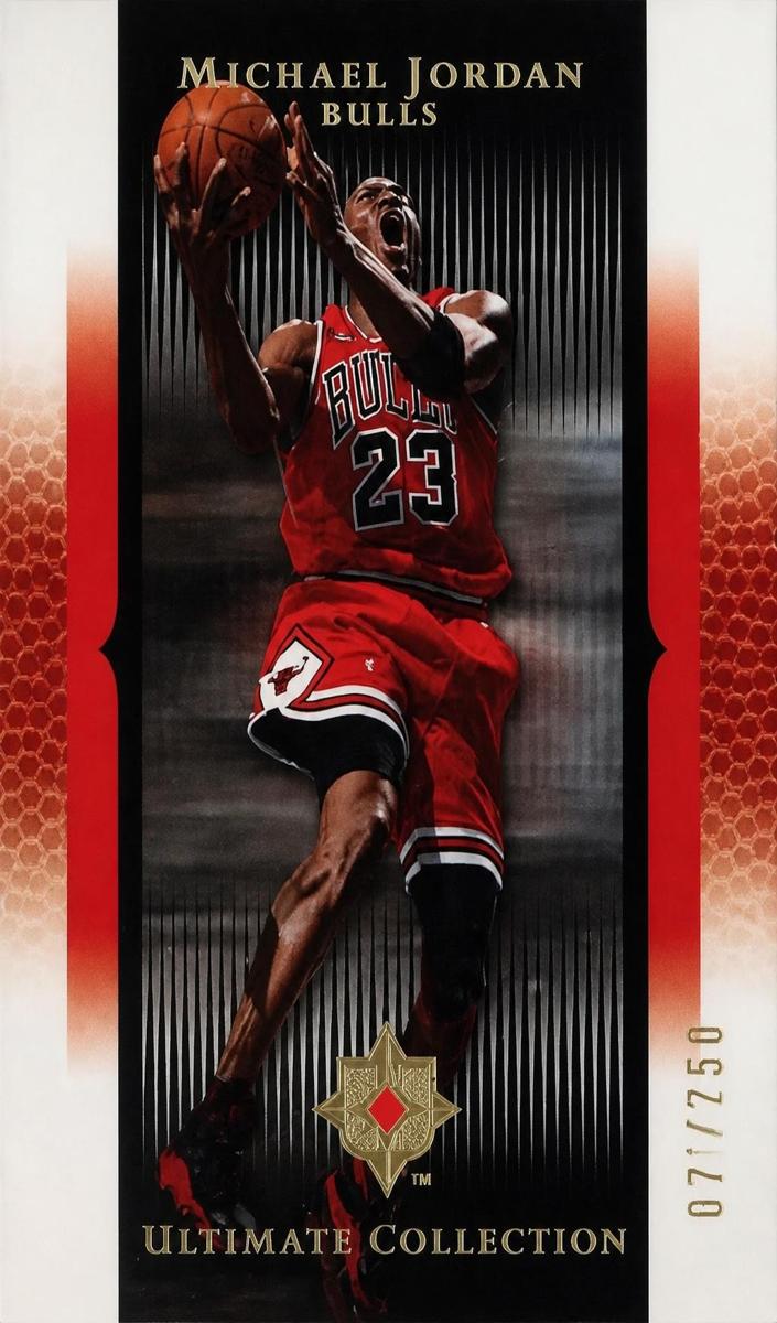 2005 Michael Jordan #16