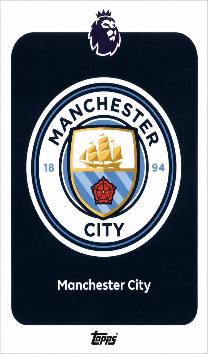 2025 Team Badge #181