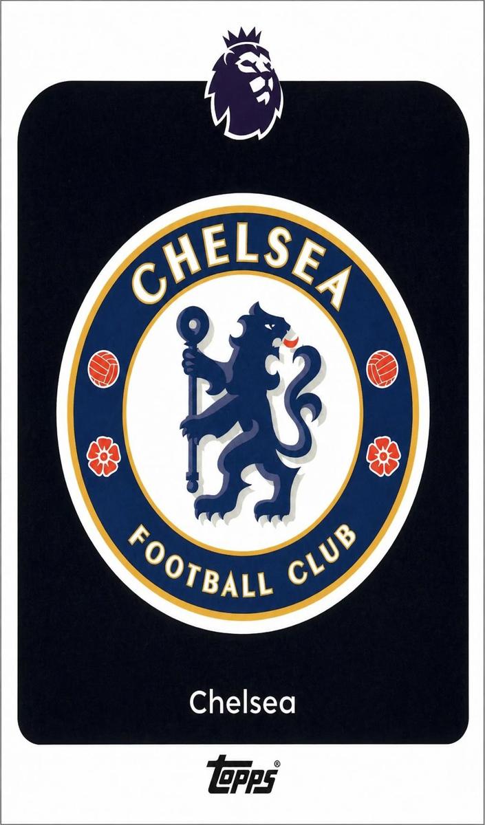 2025 Team Badge #91