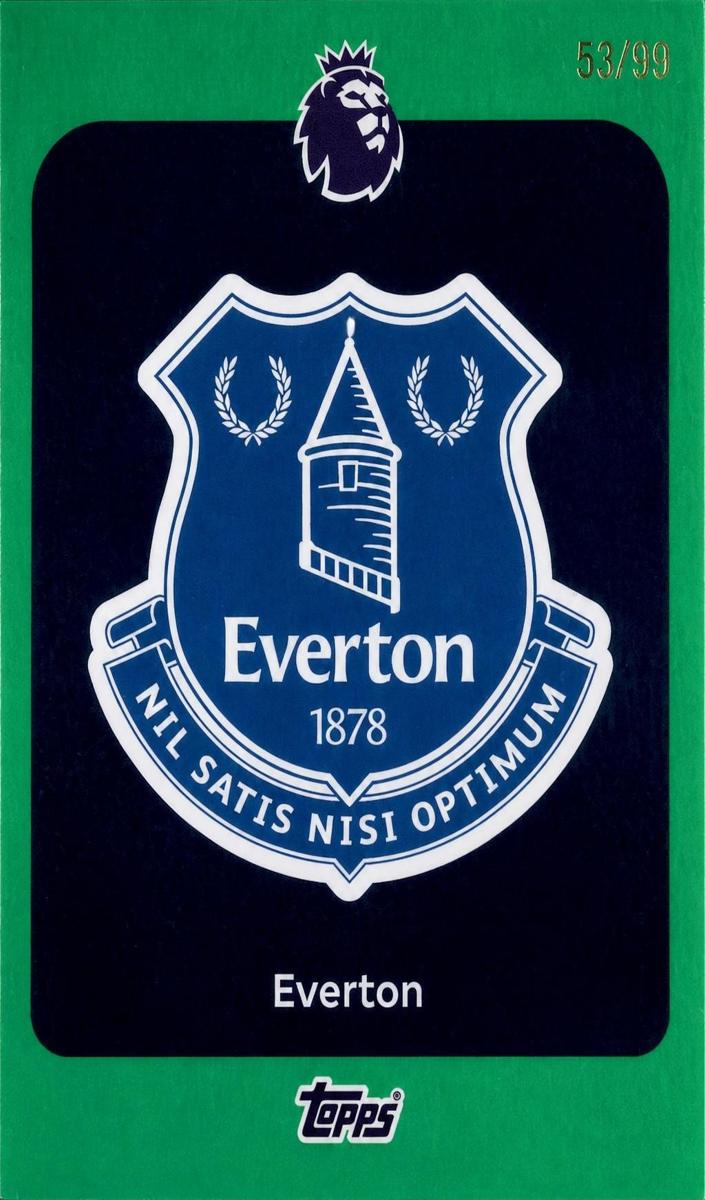2025 Team Badge [Green] #127
