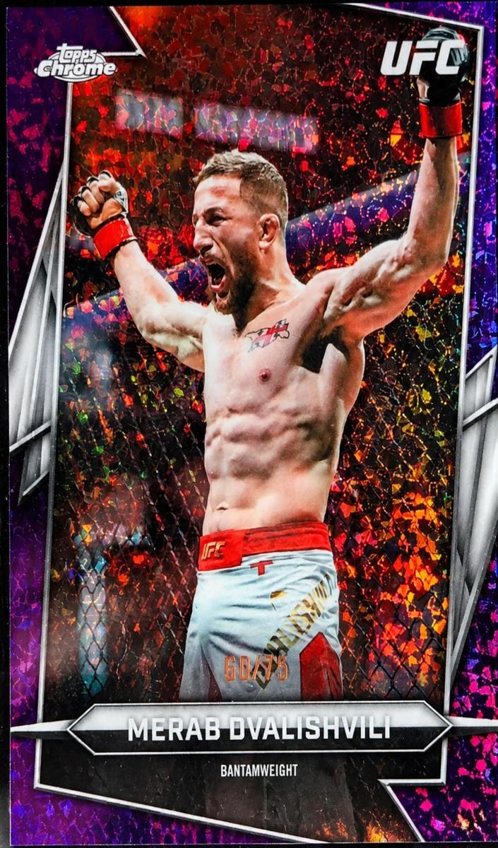 2024 Merab Dvalishvili [Purple Refractor] #135